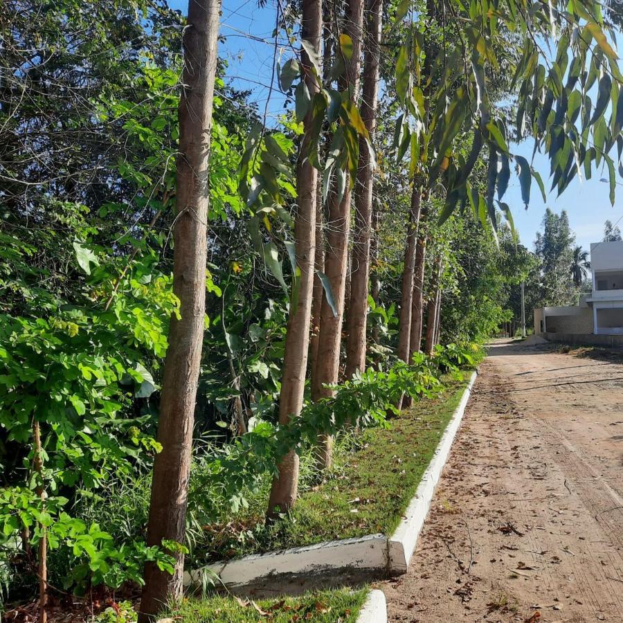 Viva! 1 Casa Nova Em Condominio Entre Maragogi E Carneiros São José da Coroa Grande المظهر الخارجي الصورة